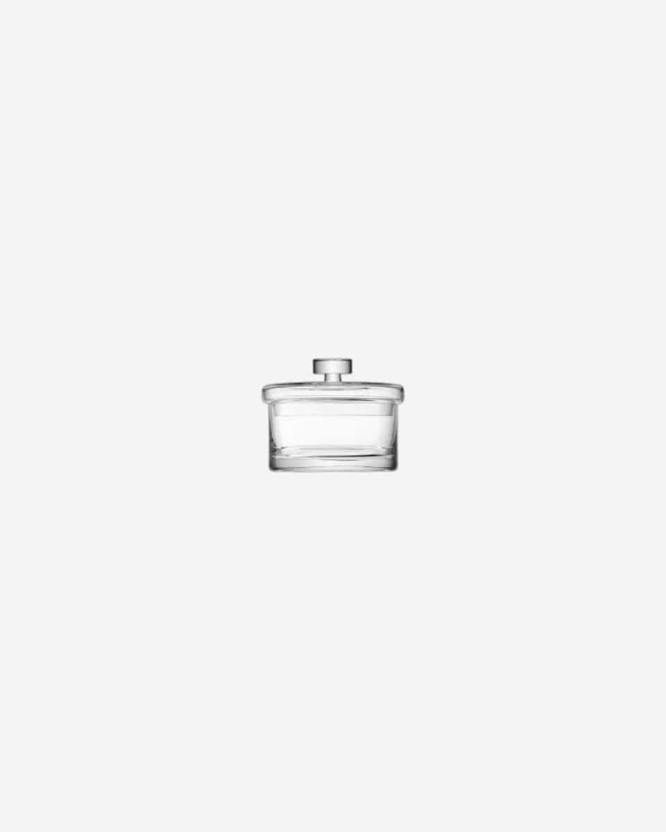 Lsa Maxi Container & Lid Clear