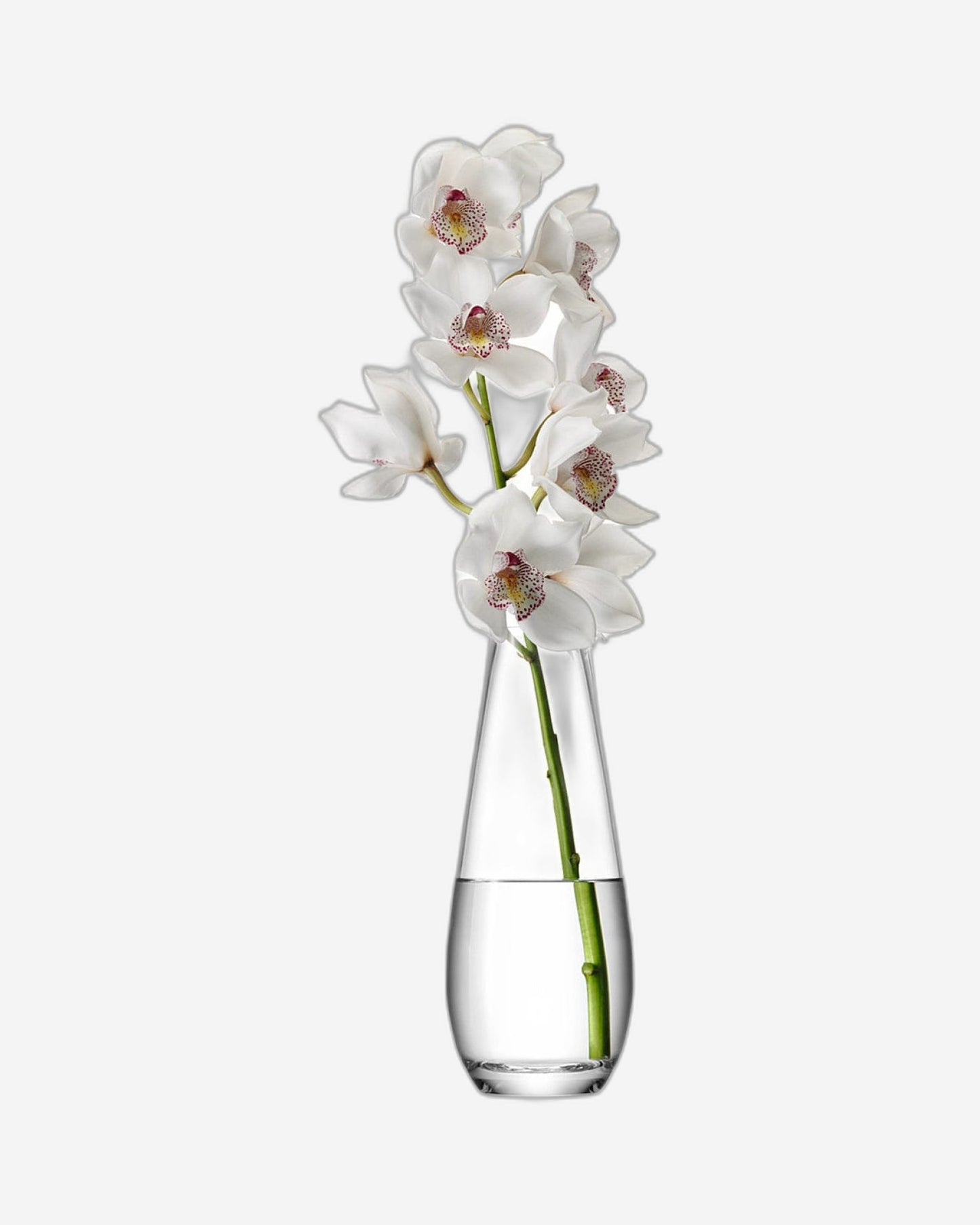 Lsa Flower Tall Stem Vase Clear