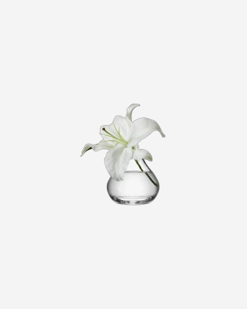Lsa Flower Sprig Vase Clear