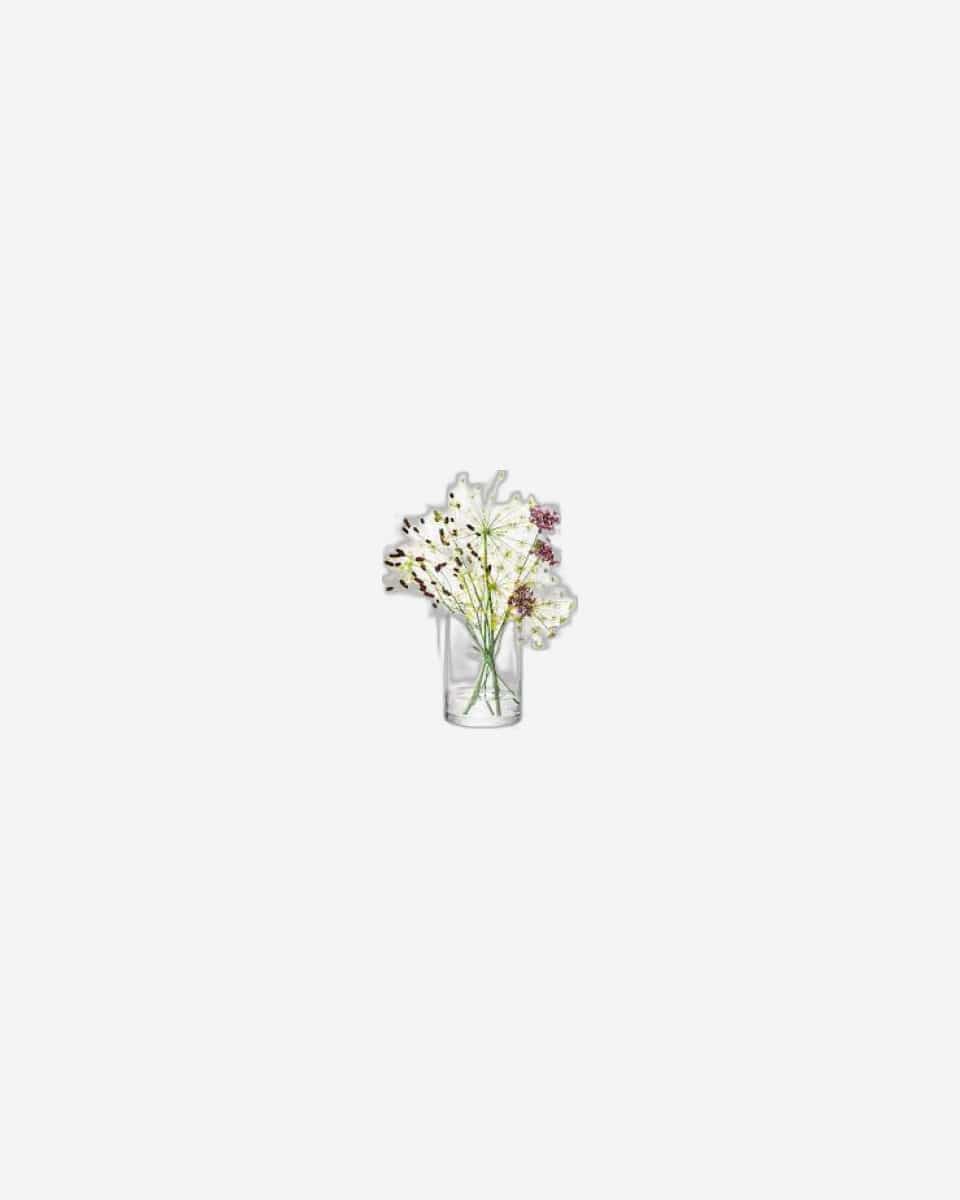 Lsa Column Vase/Candleholder Clear