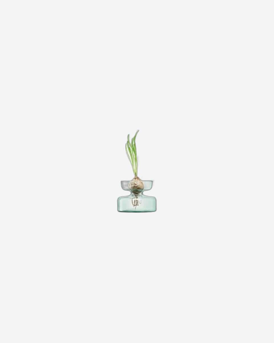 Lsa Canopy Vase/Bulb Planter Clear
