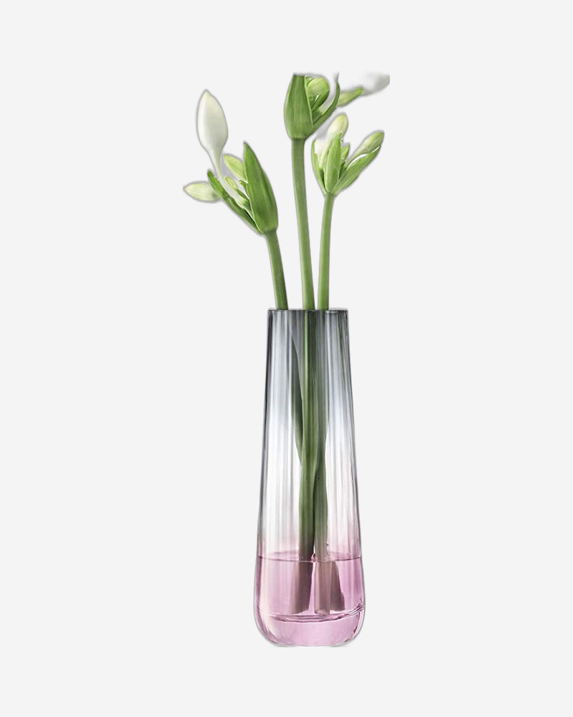 Lsa Dusk Vase Pink/Grey