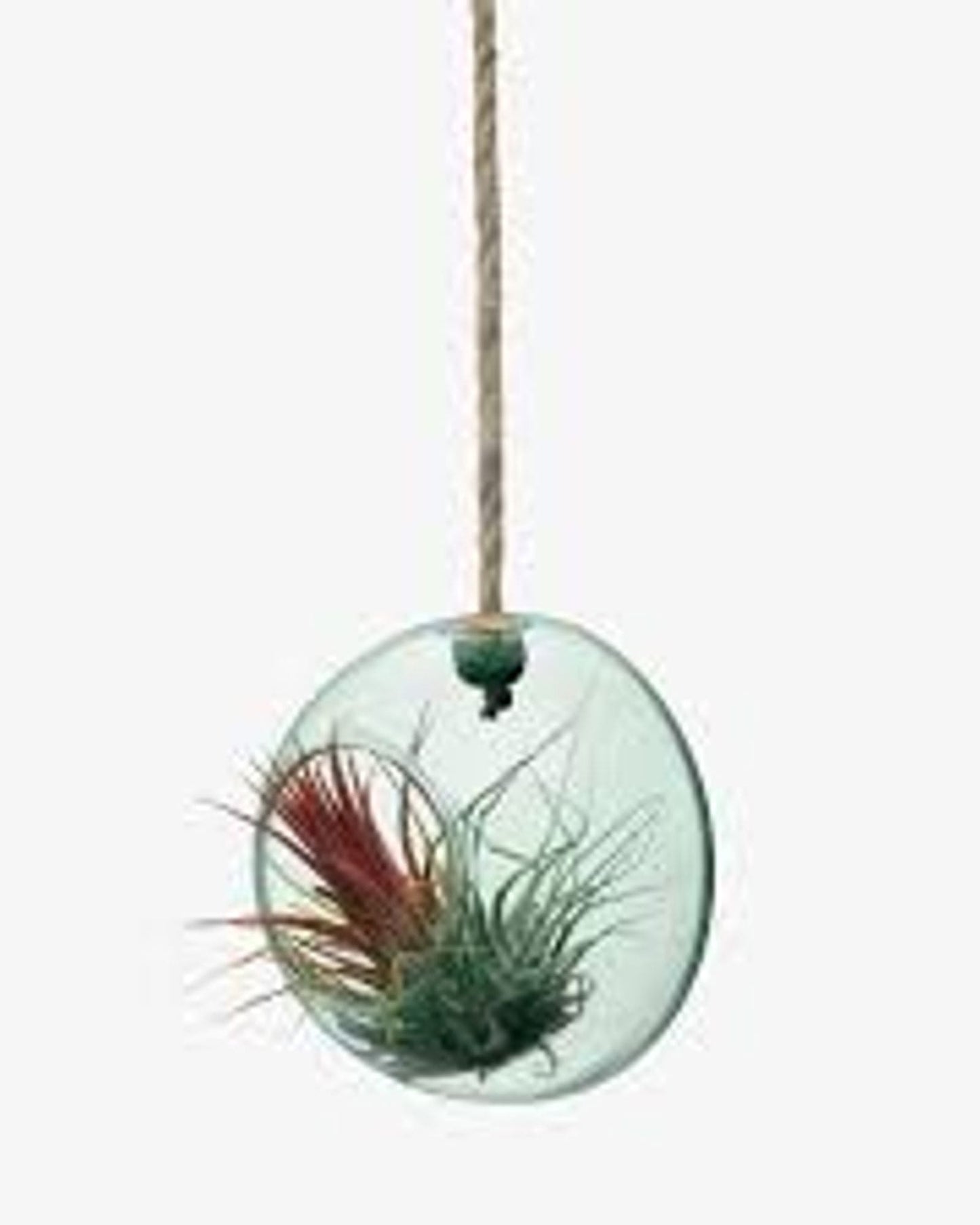 Lsa Canopy Hanging Planterrecycled