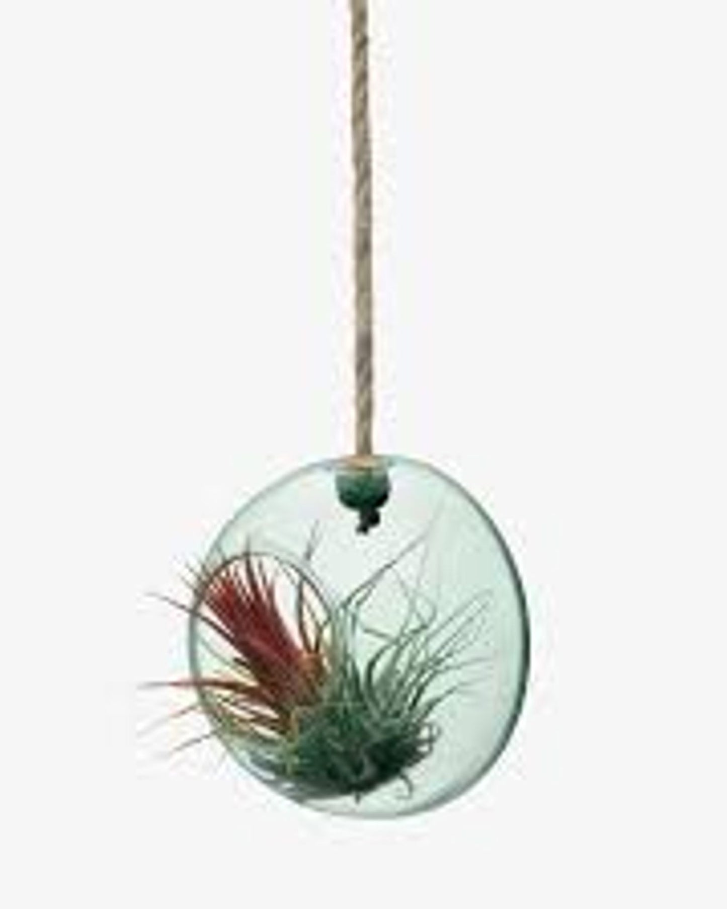 Lsa Canopy Hanging Planterrecycled