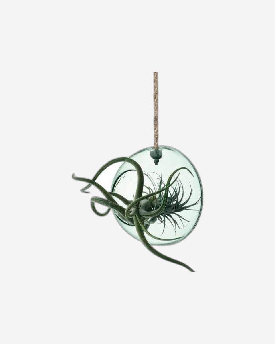 Lsa Canopy Hanging Planter Recycled