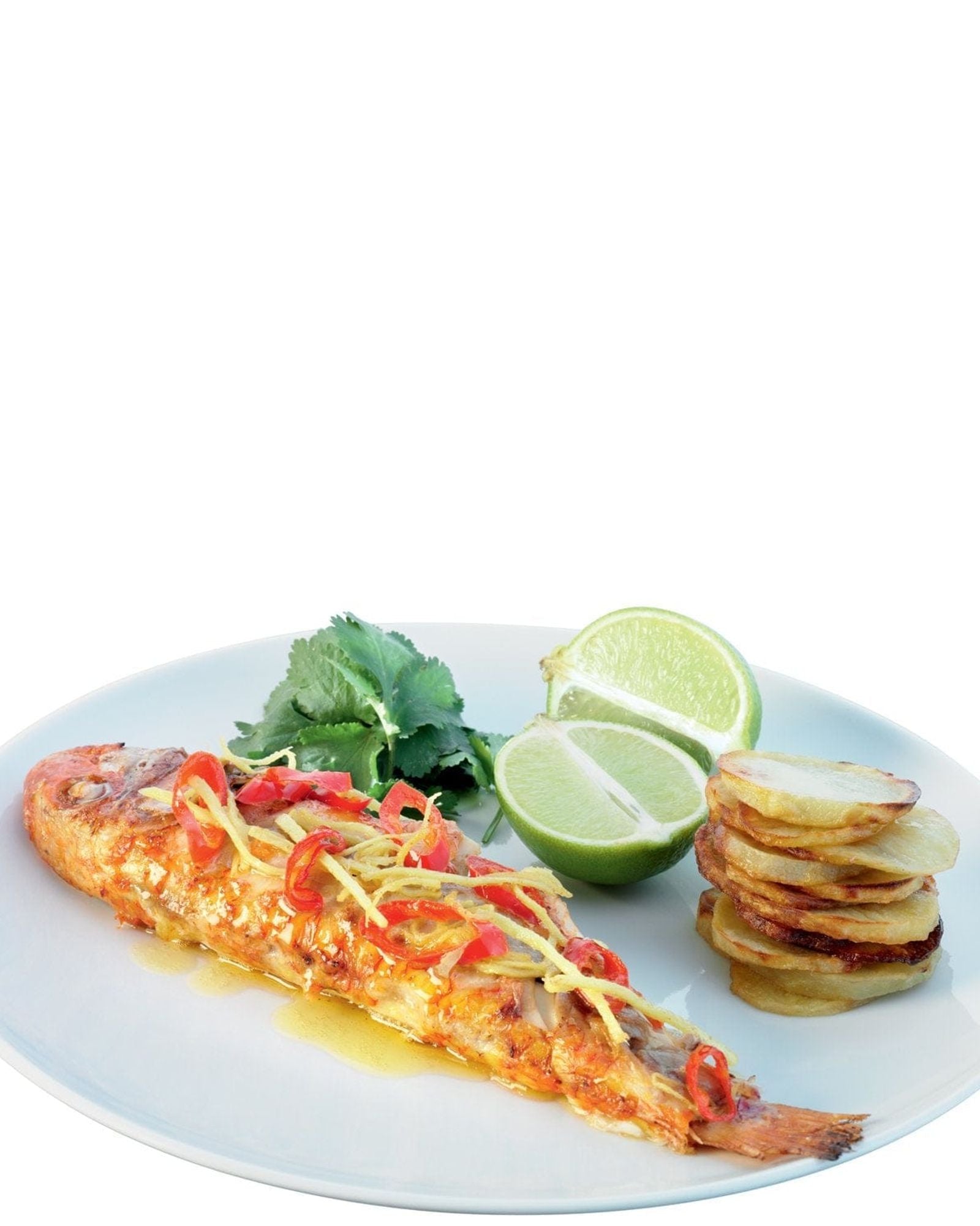 Dine Dinner Plate Coupe Ø28cm x 4