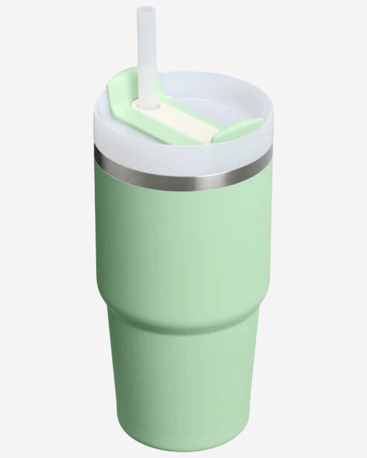 Stanley Quencher 2.0 Tumbler 600 ml Pistachio
