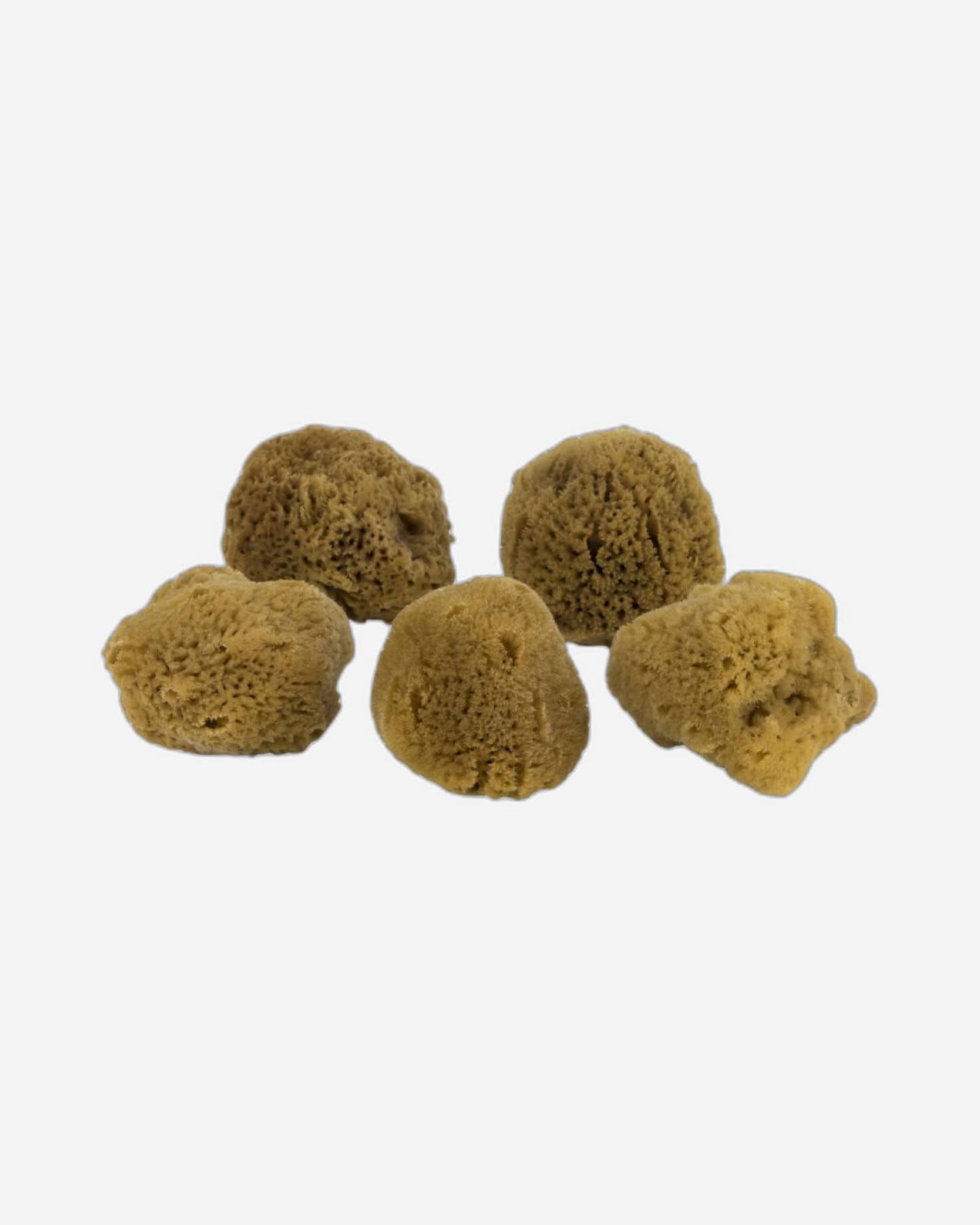 Mette Ditmer "Organic Ocean Face Sponge" 5 pcs in Brown