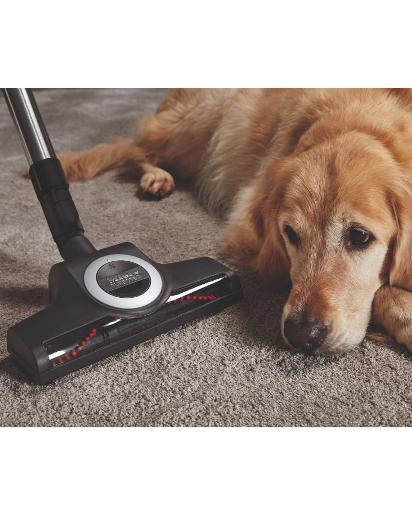 Miele Blizzard CX1 Cat&Dog Vacuum Cleaner