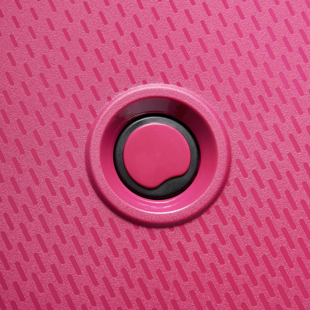 Delsey Paris Belmont Plus Non Expandable 2Piece Luggage Set + Free Agreable Backpack