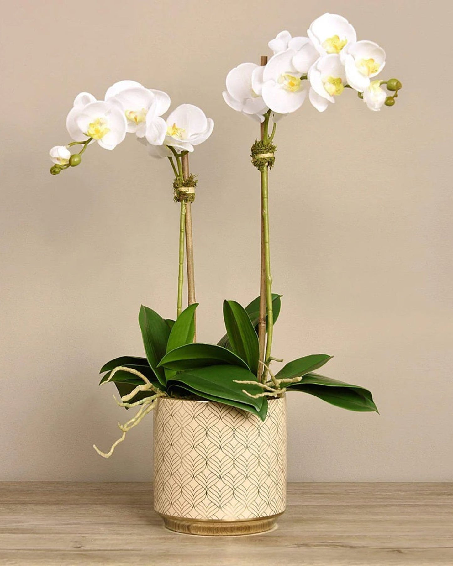 Linen Obsession "Orchid" White in Gold Patterned Pot