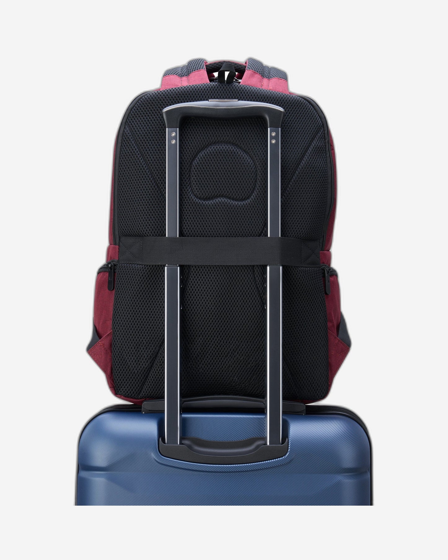 Delsey Paris Element Voyager Backpack