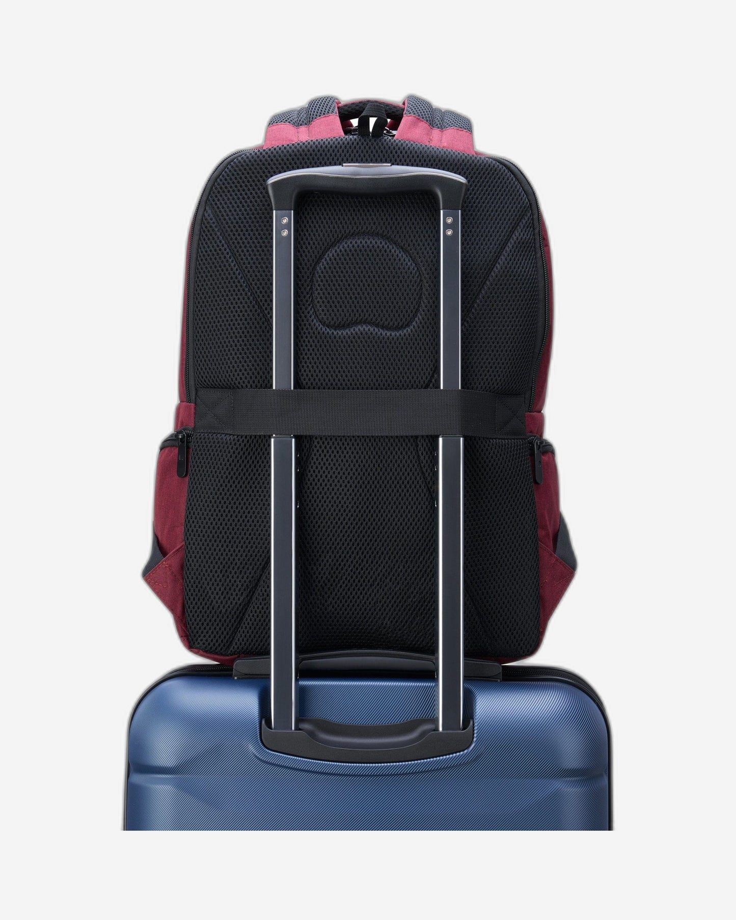 Delsey Paris Element Voyager Backpack