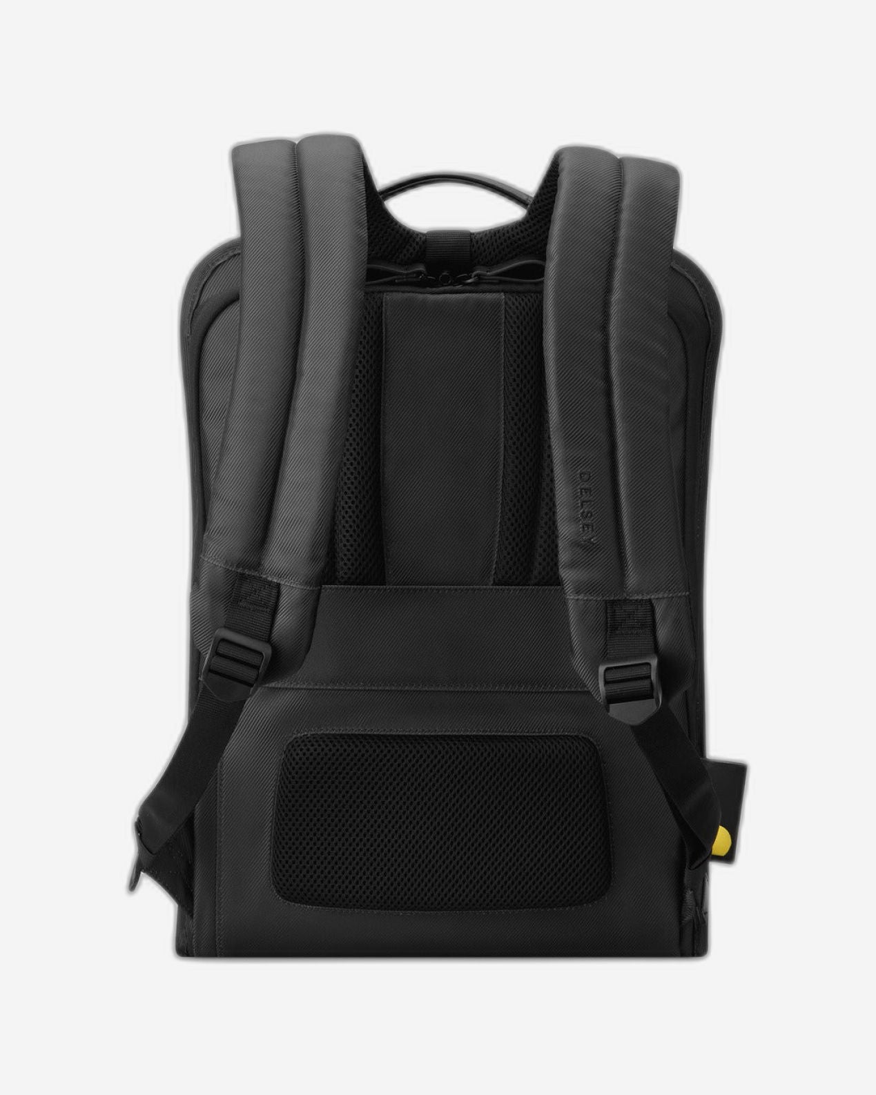 Delsey Paris Arche 2 Compartment Backpack