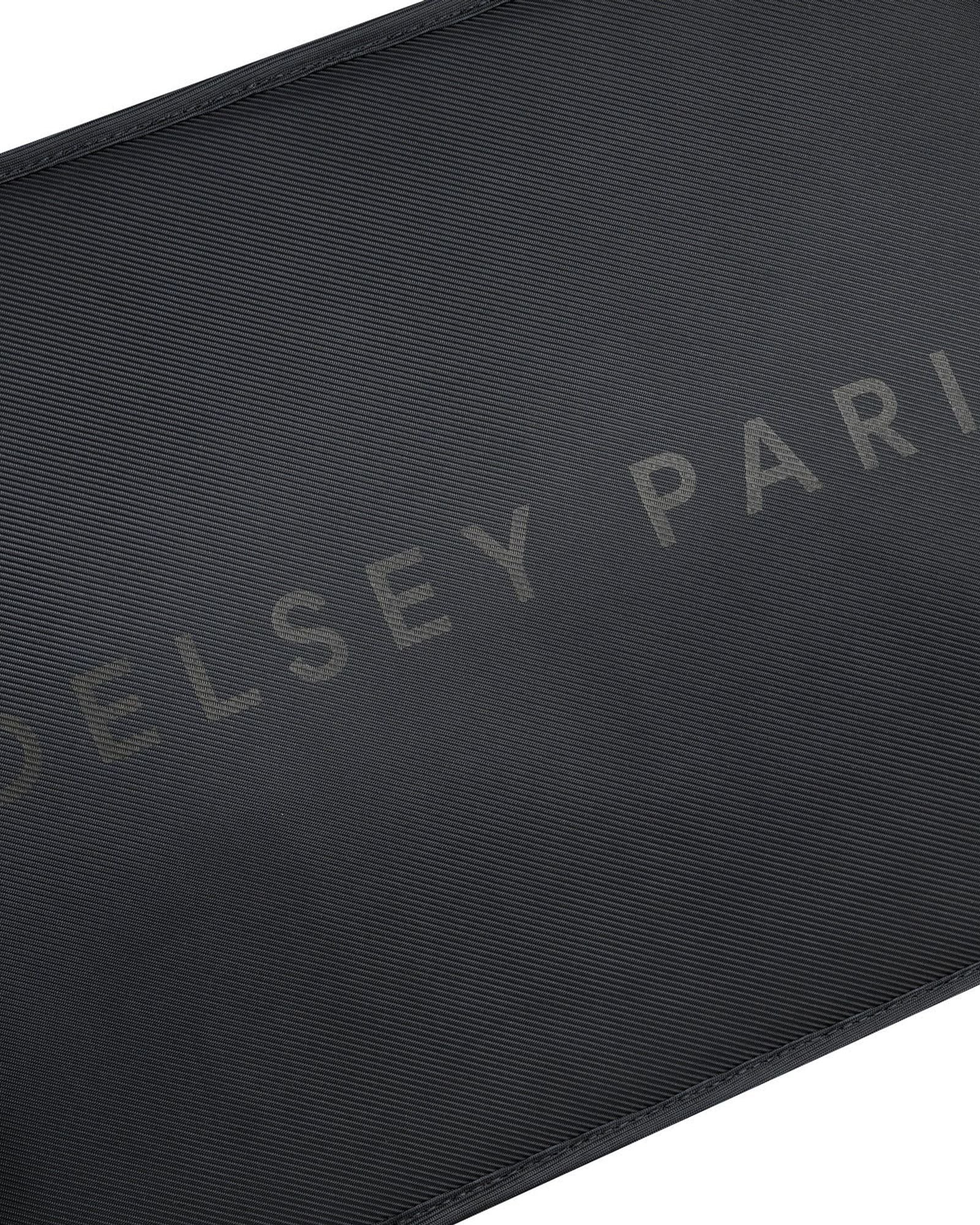 Delsey Paris Arche 2 Compartment Backpack