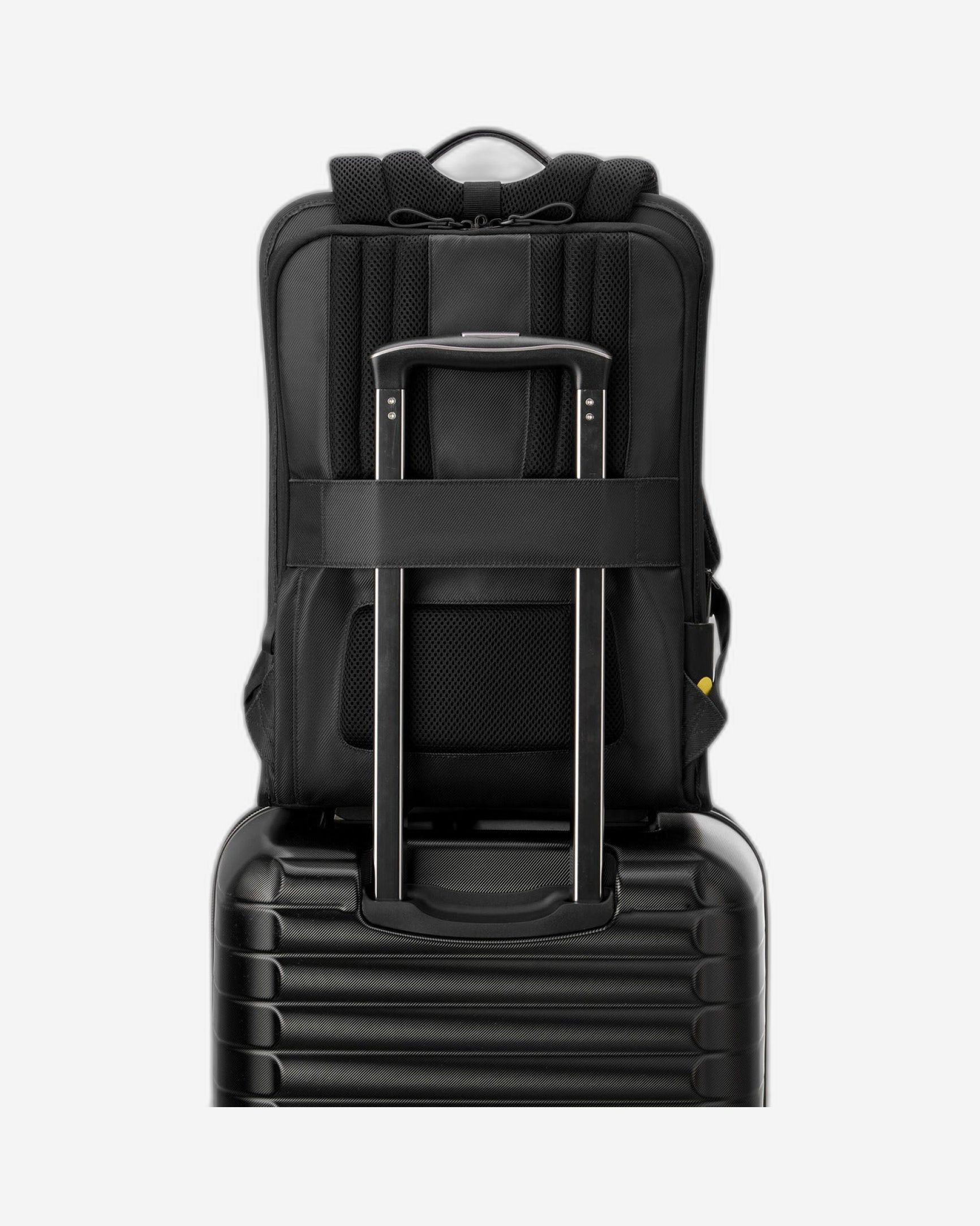 Delsey Paris Arche 2 Compartment Backpack