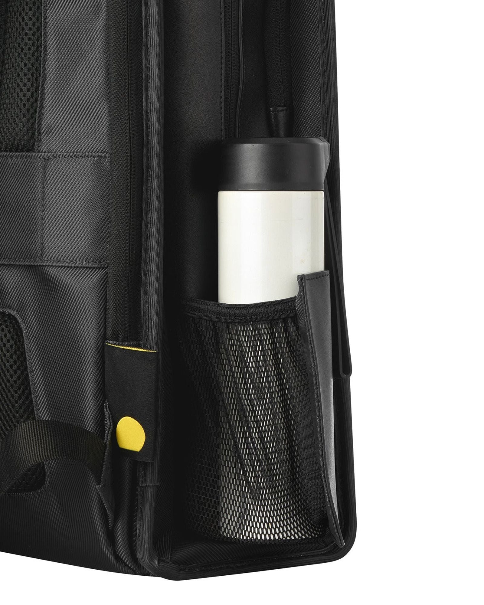 Delsey Paris Arche 2 Compartment Backpack