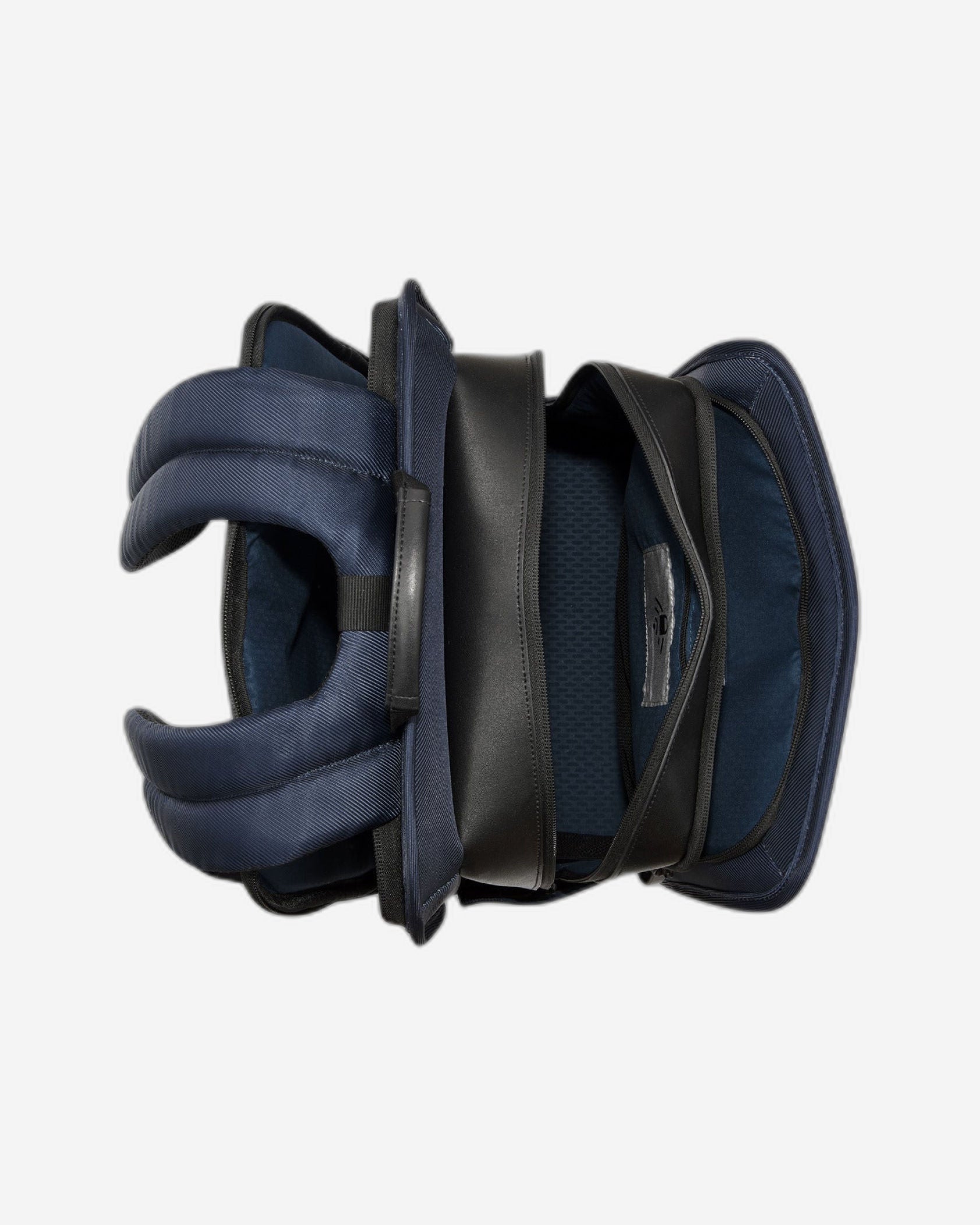 Delsey Paris Arche 2 Compartment Backpack