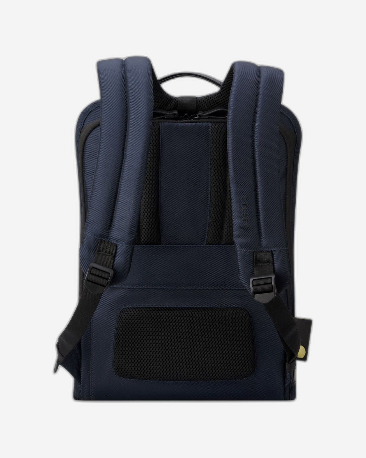 Delsey Paris Arche 2 Compartment Backpack