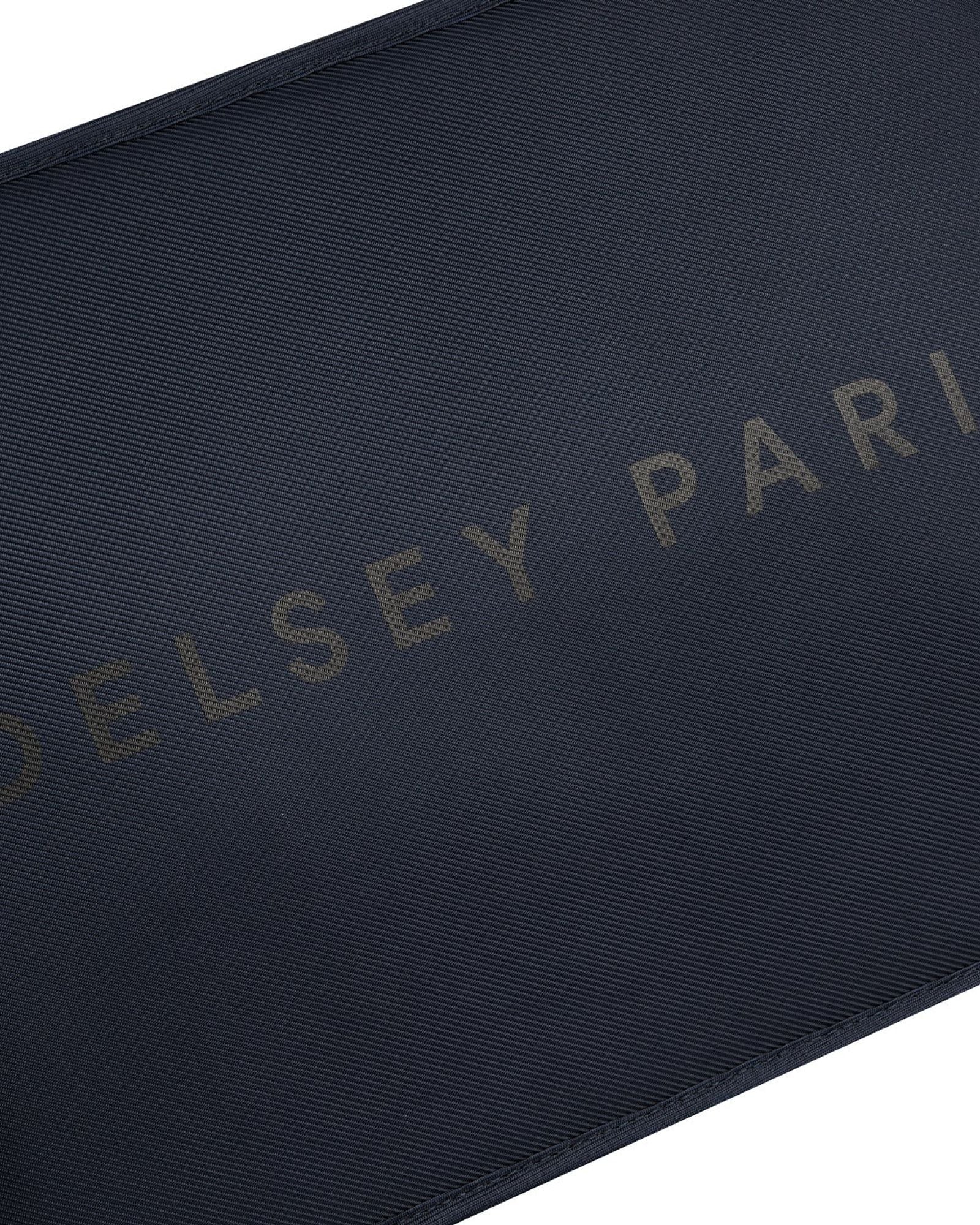 Delsey Paris Arche 2 Compartment Backpack