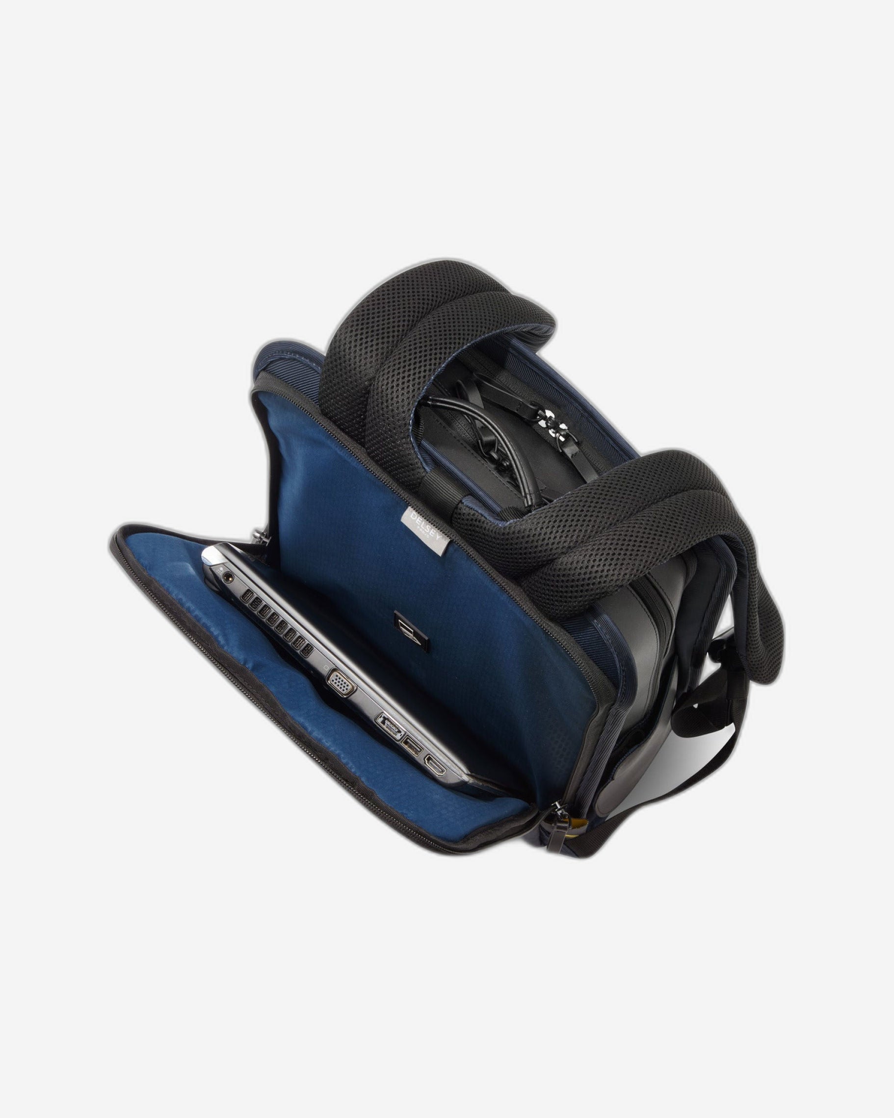 Delsey Paris Arche 2 Compartment Backpack