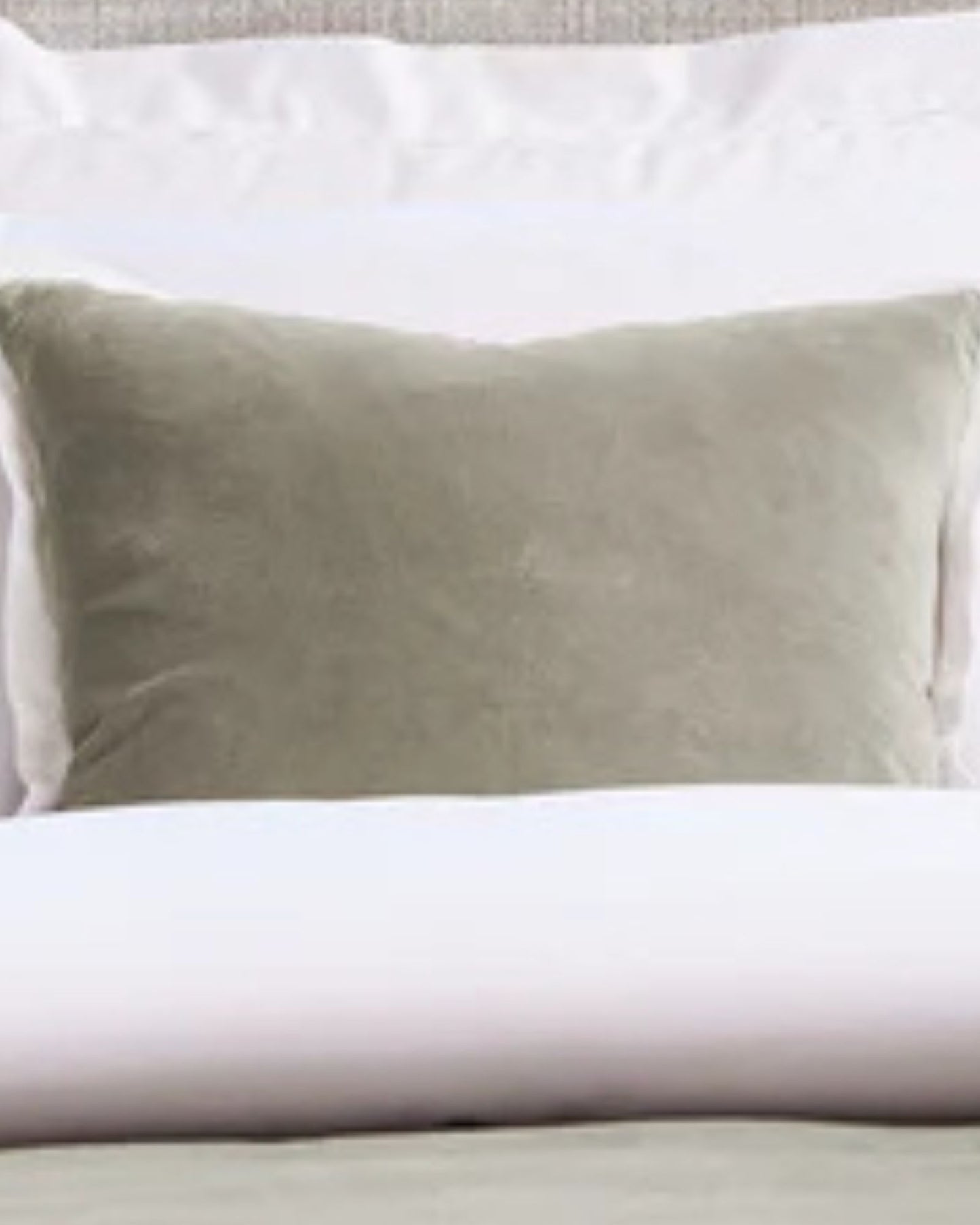 Christy "Eltham" Decorative Filled Cushion in Sand (Silver)