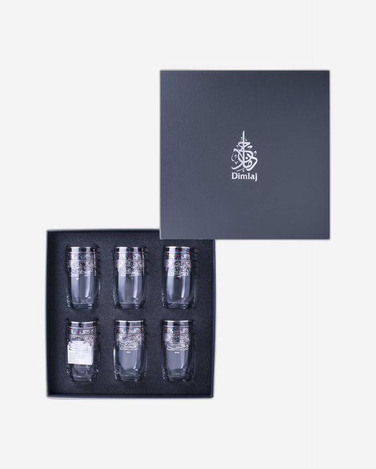 Dimlaj Suroor Set of 6 Pcs Tumblers (Platinum)