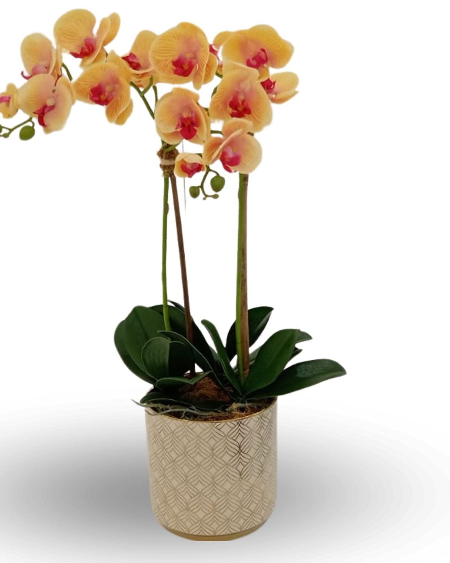 Linen Obsession "Orchid" Yellow in Gold Patterned Pot