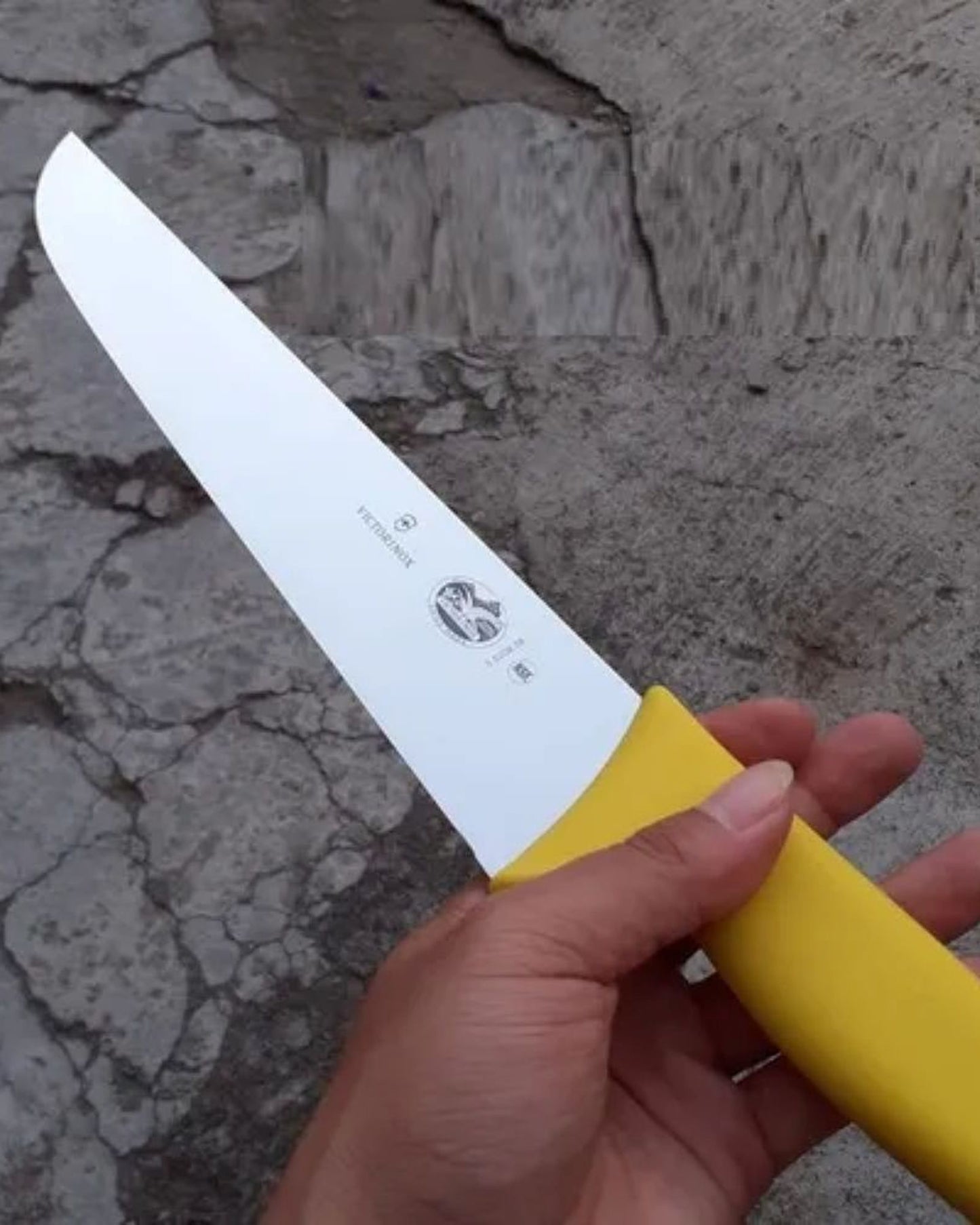 Victorinox Fibrox Sticking Knife 22Cm Straight Black - 5.5503.22