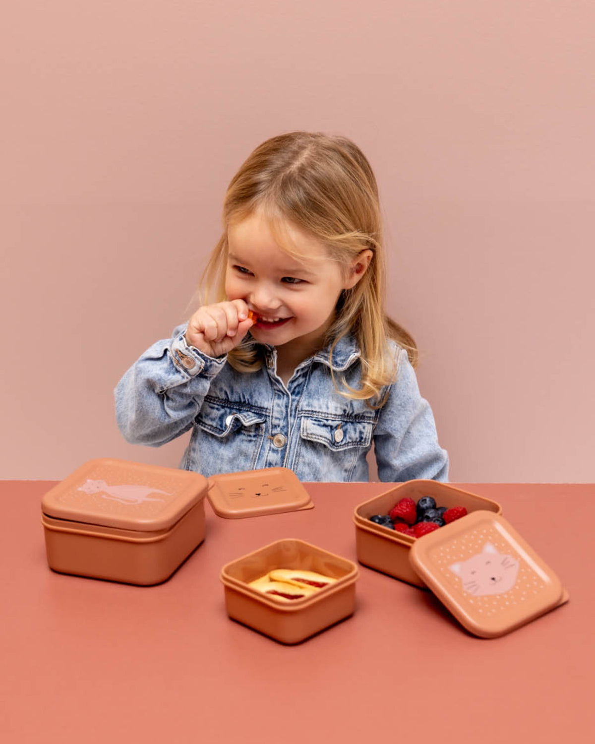 Trixie Snack Box Nesting - Set of 3 - Mrs. Cat