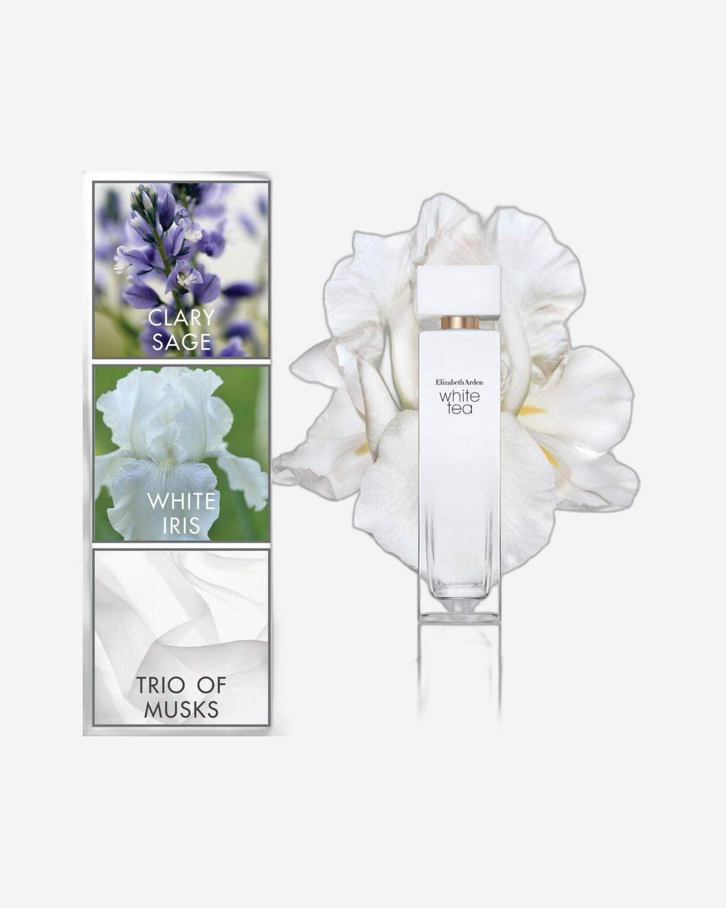 Elizabeth Arden White Tea EDT 50ml