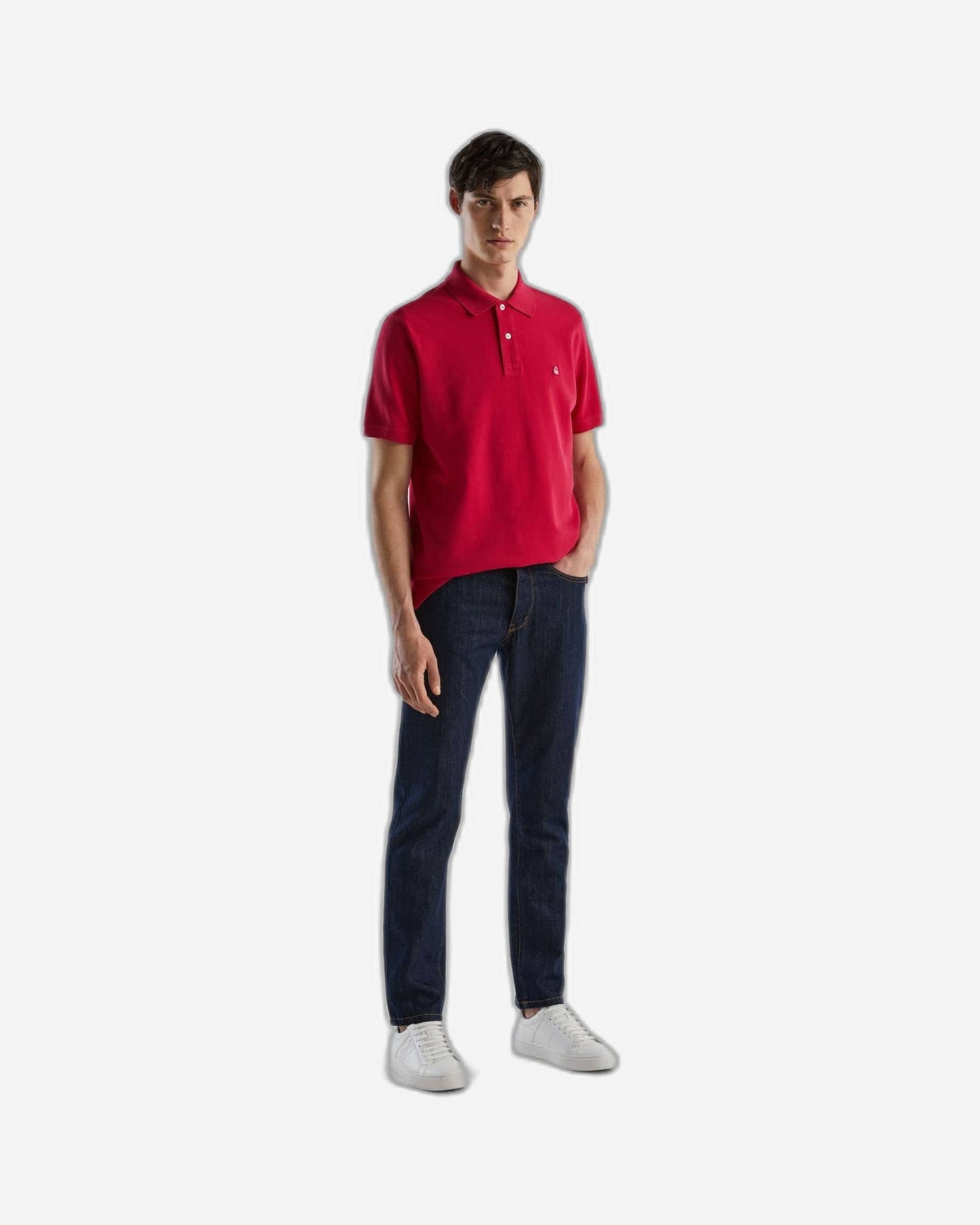 Short sleeve polo in 100% cotton