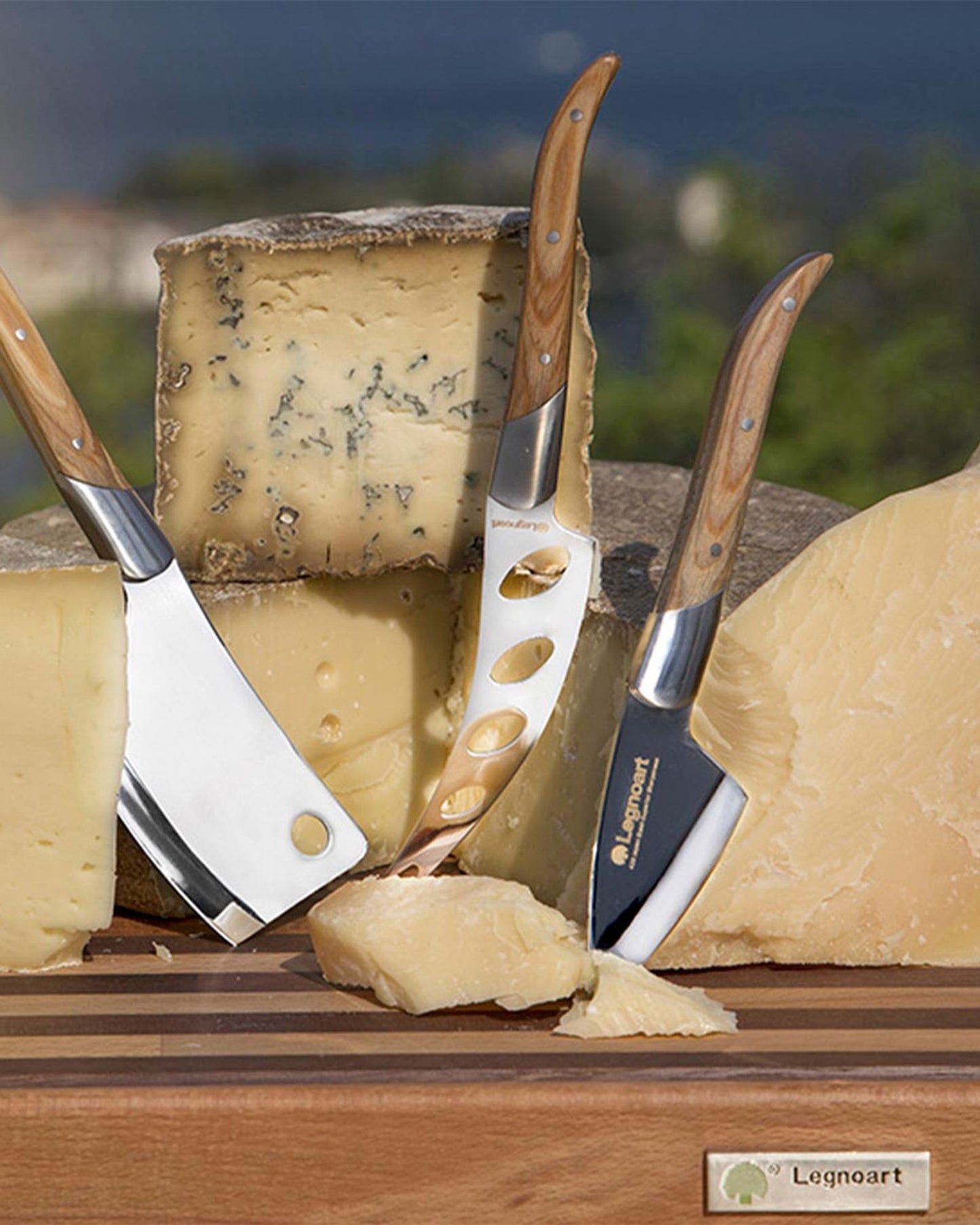 Legnoart Reggio Cheese Set With Light Wood Handle Ck-20B