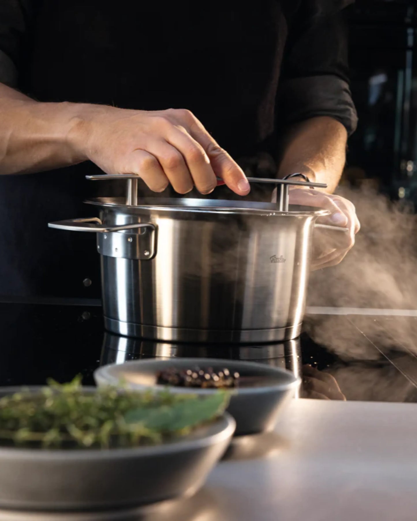 Fissler Phi 20cm Glass Lid Stew Pot