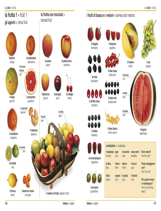 ITALIAN-ENGLISH BILINGUAL VISUAL DICTIONARY