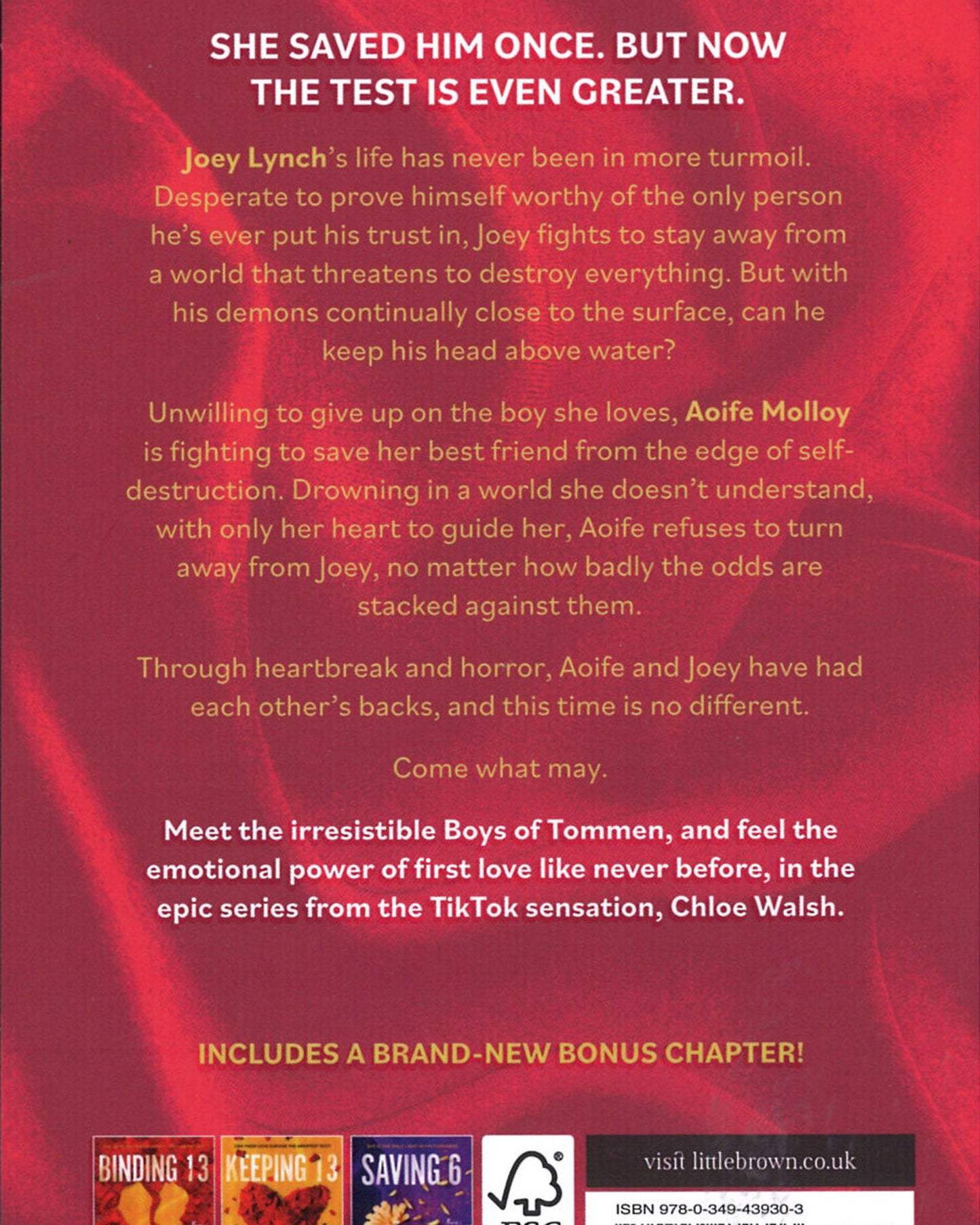 Redeeming 6 : Epic, emotional and addictive romance from the TikTok phenomenon