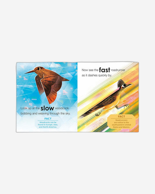 Birding for Babies: Birds Around the World : An Opposites Book