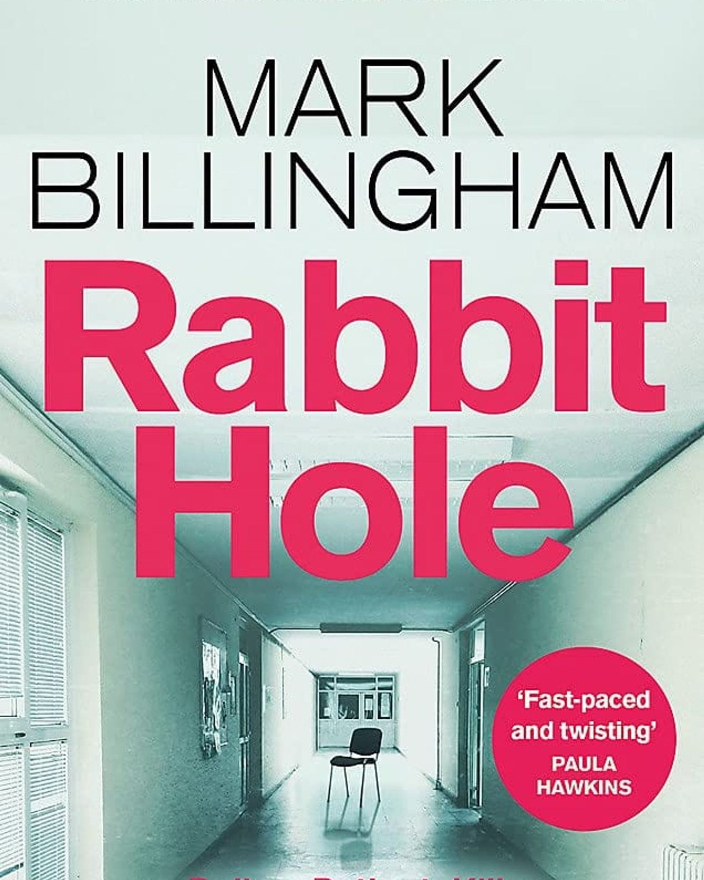 RABBIT HOLE : THE SUNDAY TIMES NUMBER ONE BESTSELLER
