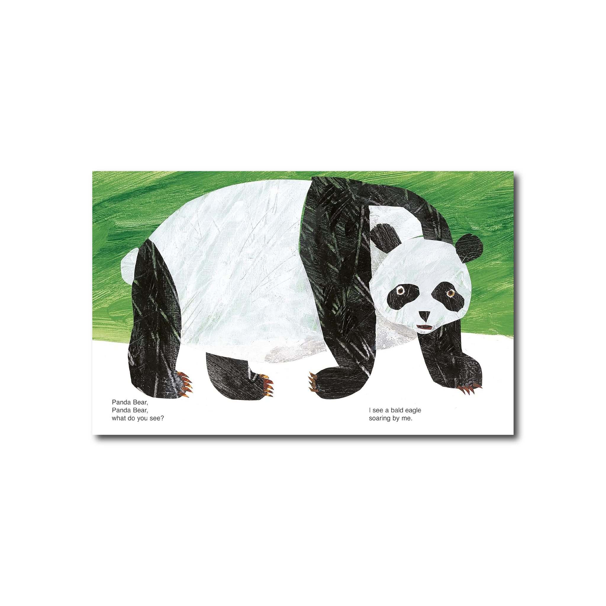 Panda Bear, Panda Bear, What Do You See?