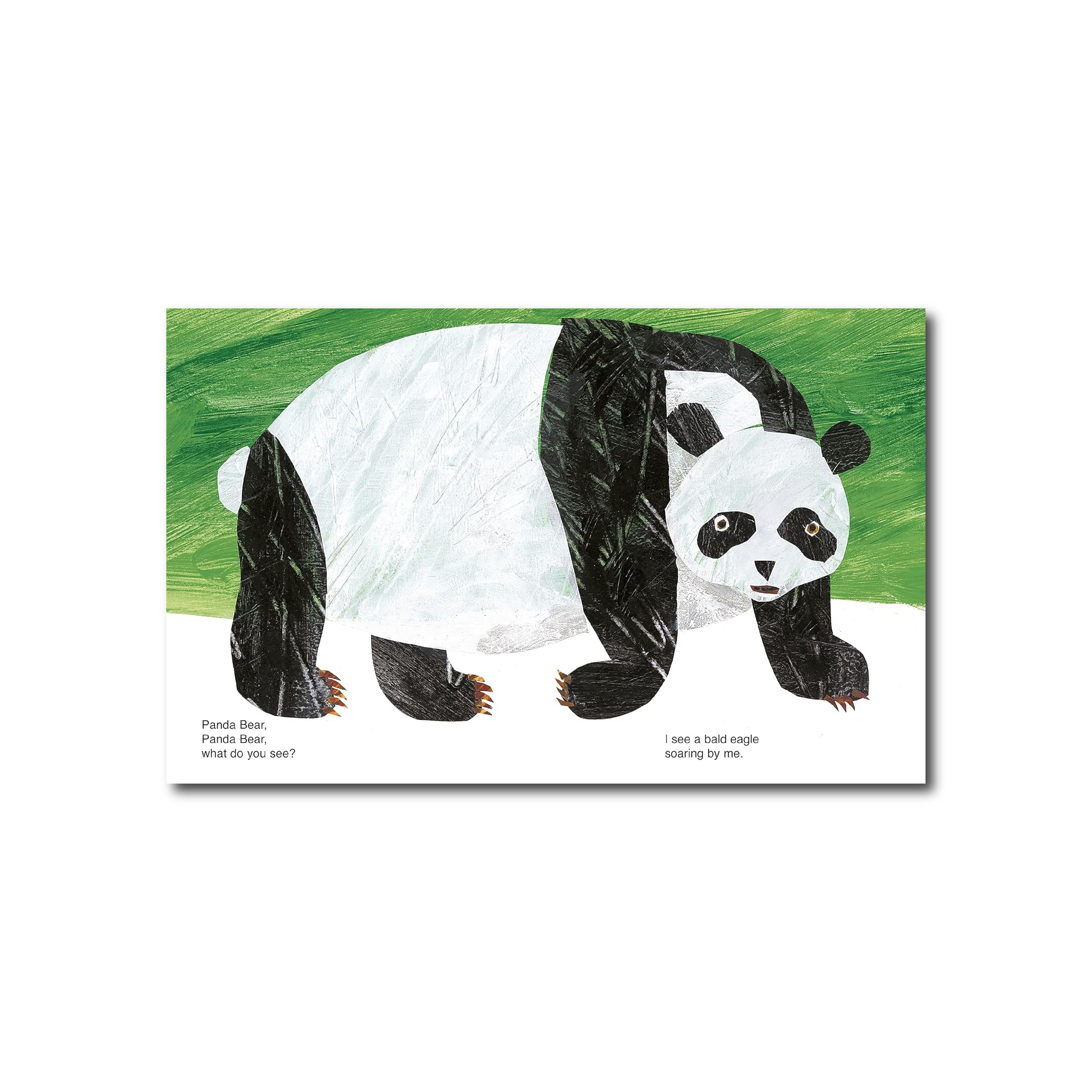 Panda Bear, Panda Bear, What Do You See?
