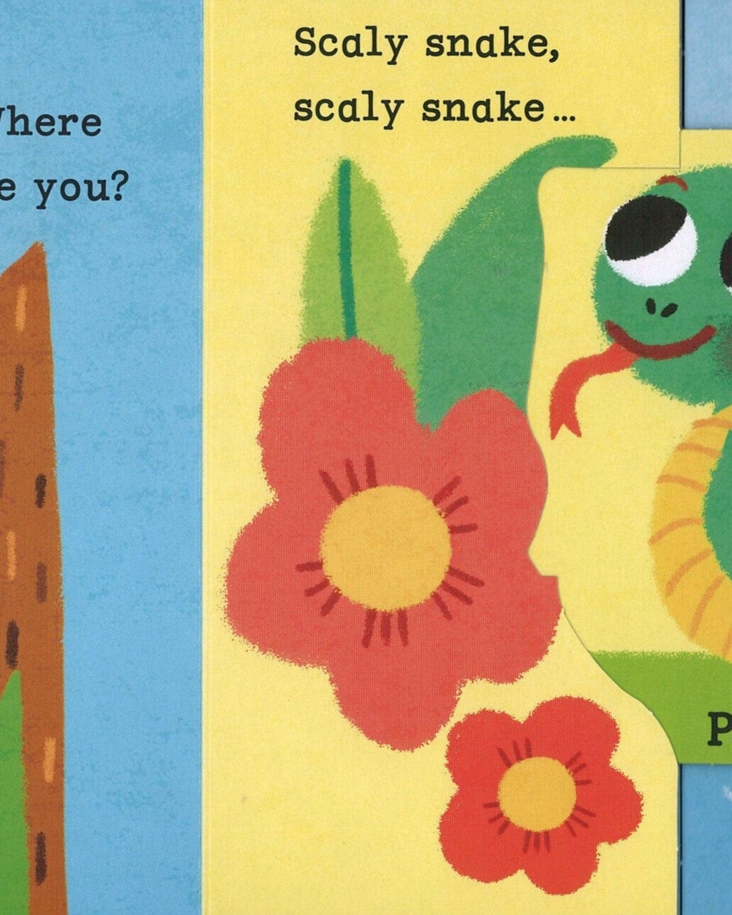 Lion, Lion, PEEKABOO