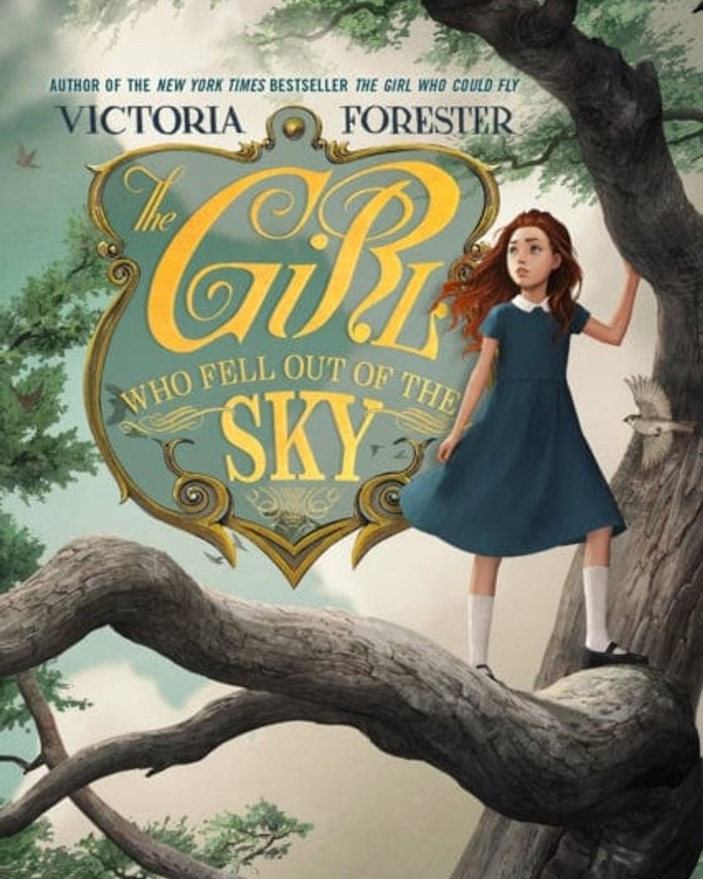 THE GIRL WHO FELL OUT OF THE SKY