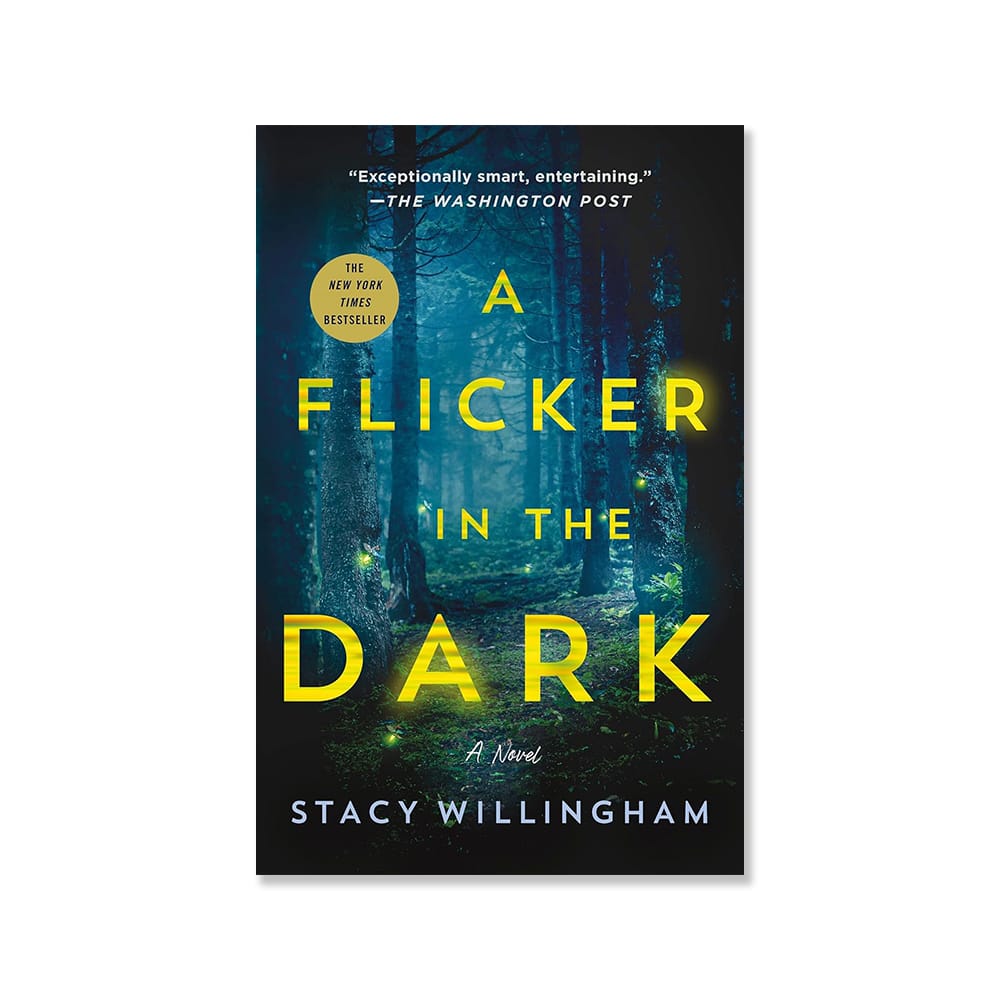 A Flicker In The Dark