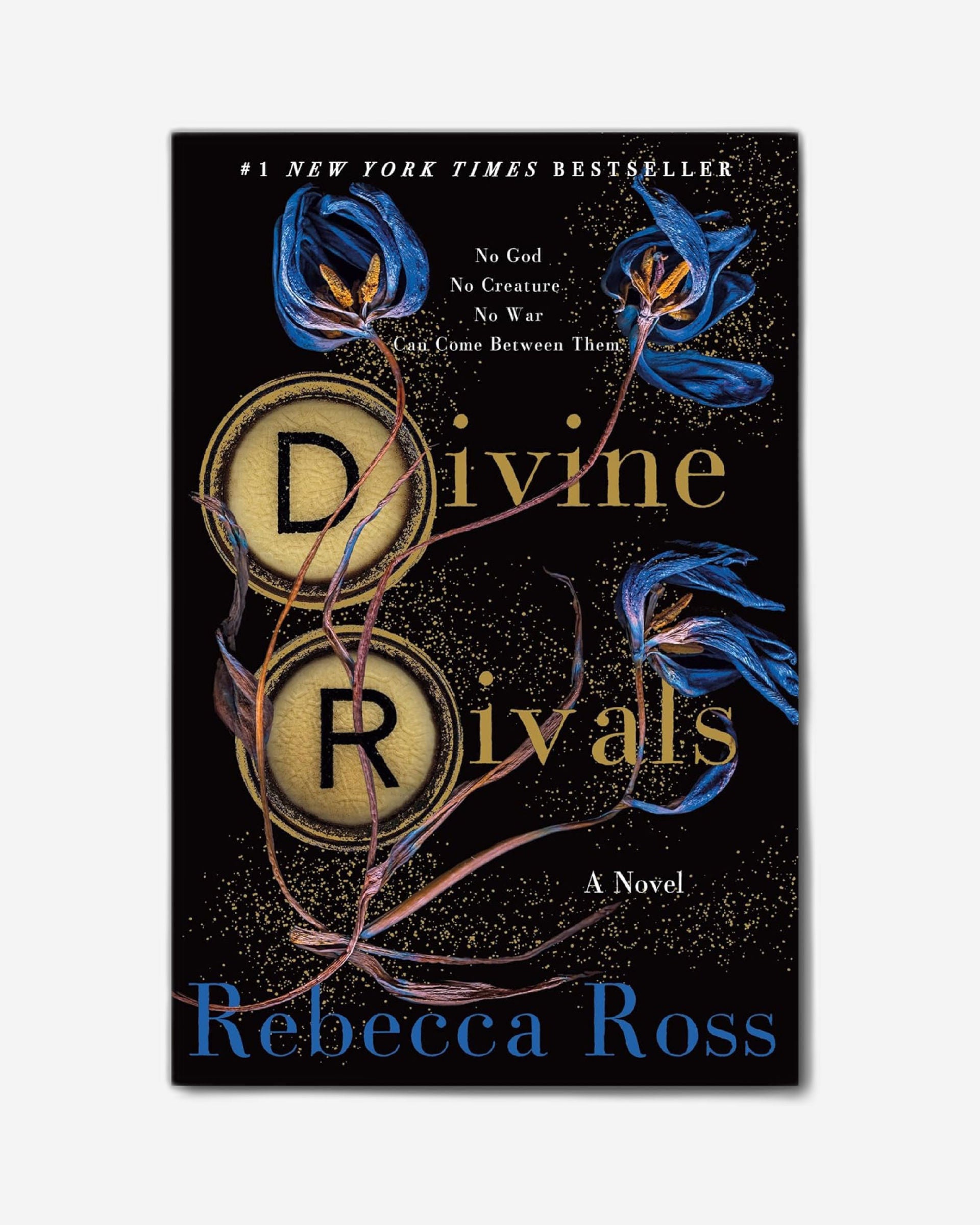 Divine Rivals : A Novel : 1