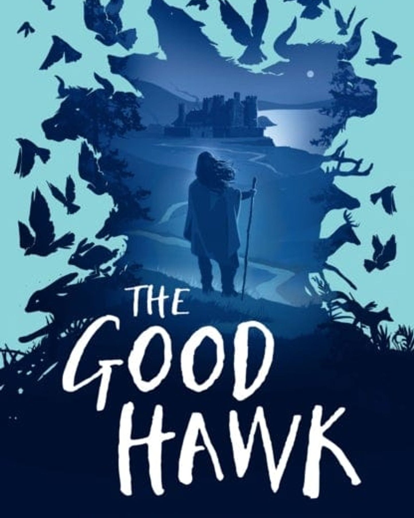 THE GOOD HAWK (SHADOW SKYE, BOOK ONE) - JOSEPH ELLIOTT