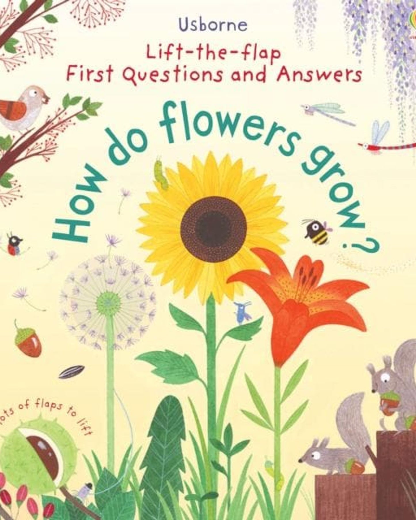 First Lift-The-Flap First Q&A :How Do Flowers Grow? - Katie Daynes