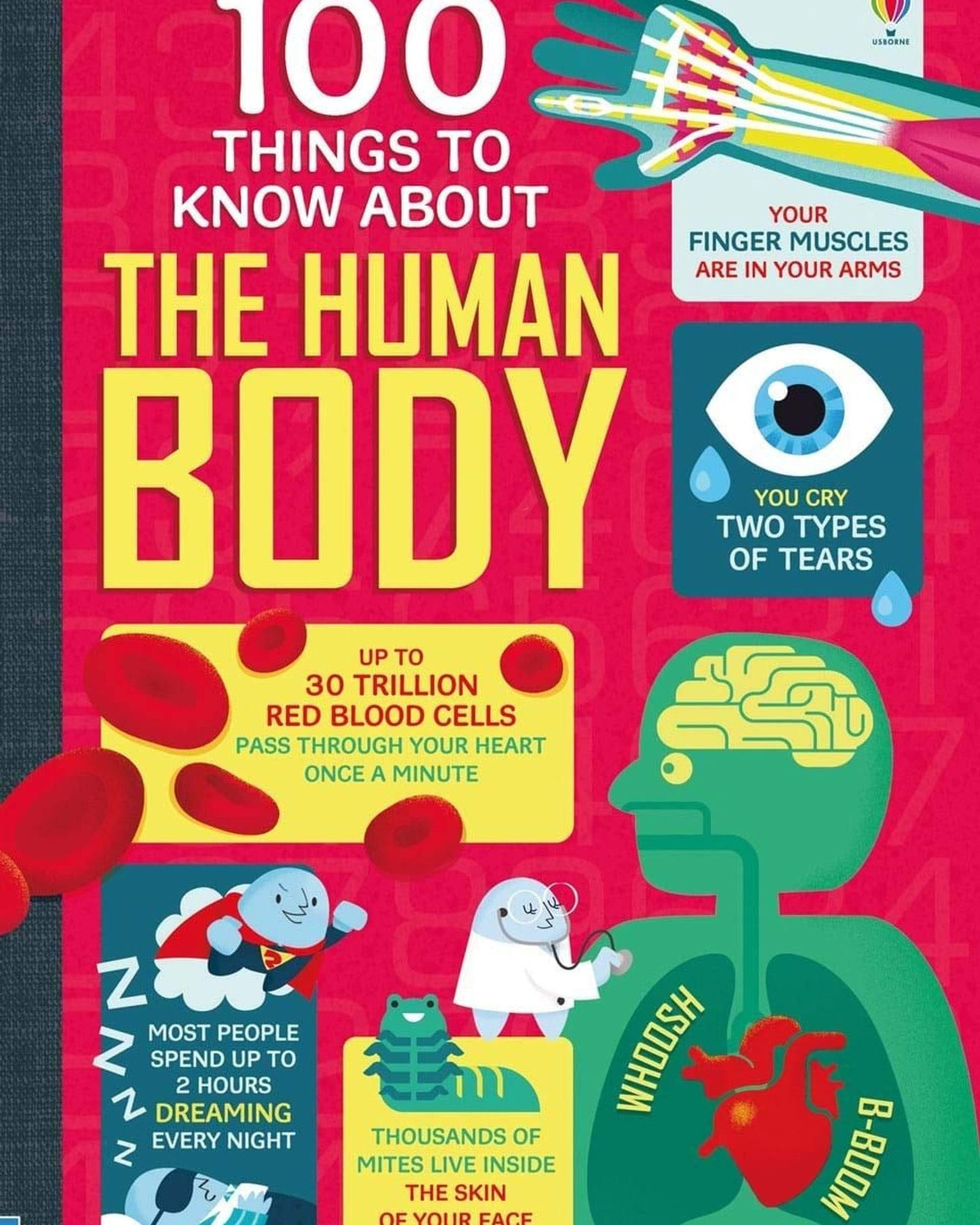 100 Things To Know About The Human Body