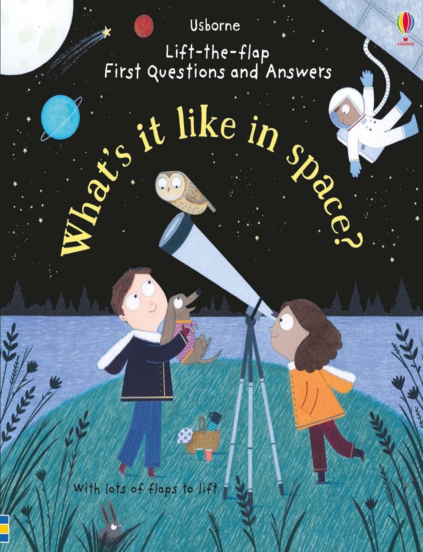 LIFT-THE-FLAP FIRST Q&A : WHAT'S IT LIKE IN SPACE? - KATIE DAYNES