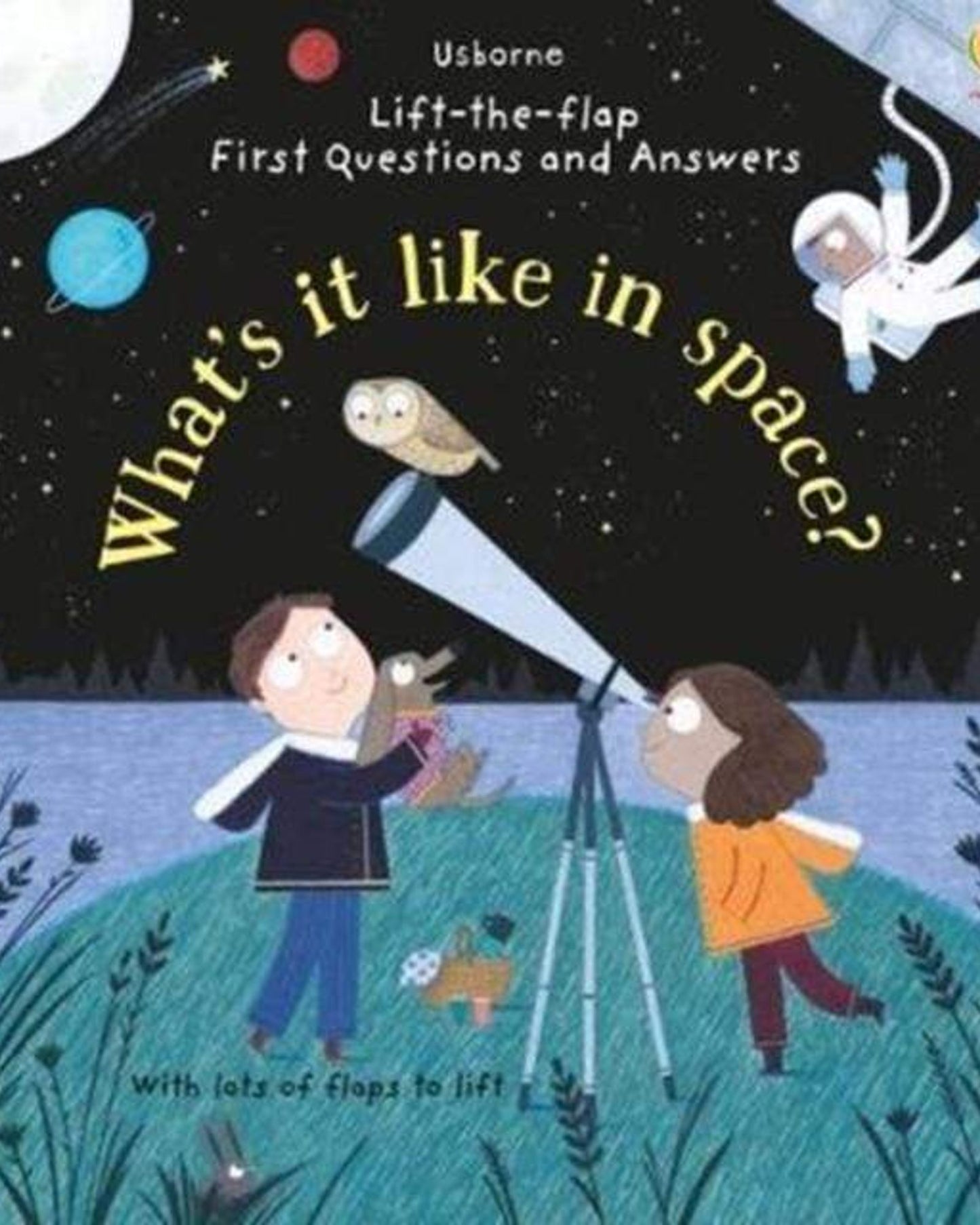 LIFT-THE-FLAP FIRST Q&A : WHAT'S IT LIKE IN SPACE? - KATIE DAYNES