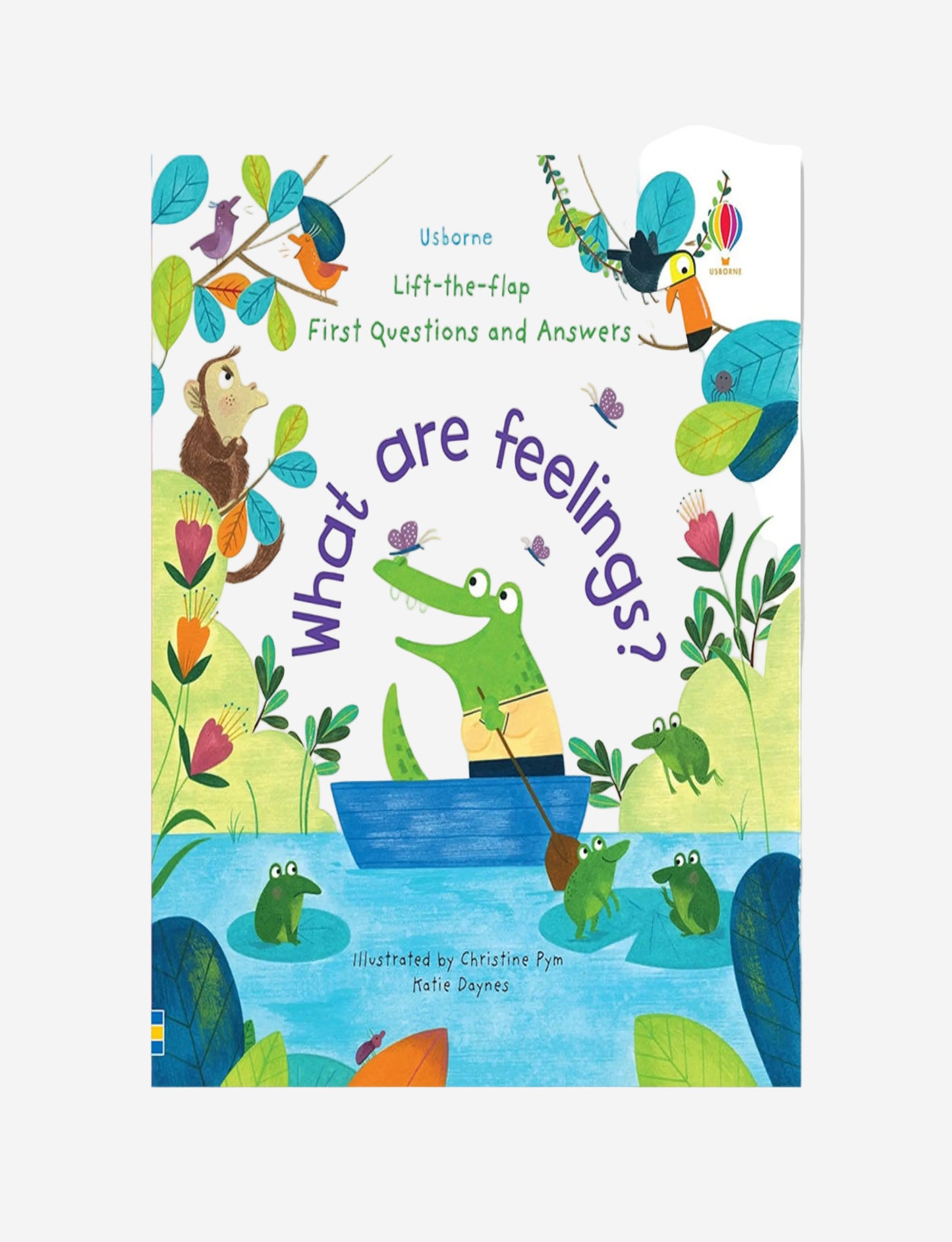 Lift-The-Flap First Questions And Answers What Are Feelings?